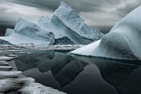  Arctica! De Kleine IJszeebewoner Met Een Reusachtige Levensduur