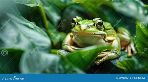  Oostenrijks Graskikker: Een Meester in Camouflage die zich Met Zonder Effort Aanpast aan zijn Omgeving!